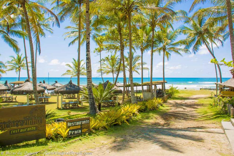 Imagem de quiosques e coqueiros na entrada da Praia de Itacarezinho.